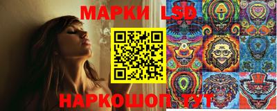 ПСИЛОЦИБИНОВЫЕ ГРИБЫ Канаш