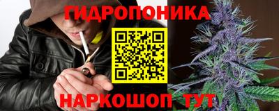 ПСИЛОЦИБИНОВЫЕ ГРИБЫ Канаш