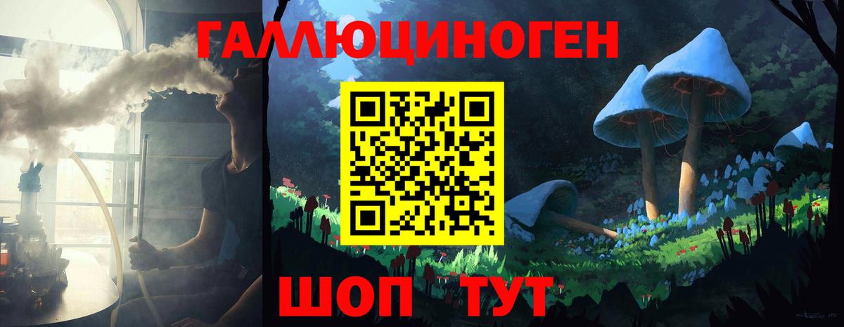 Псилоцибиновые грибы GOLDEN TEACHER  Вход с VPN  Элиста 